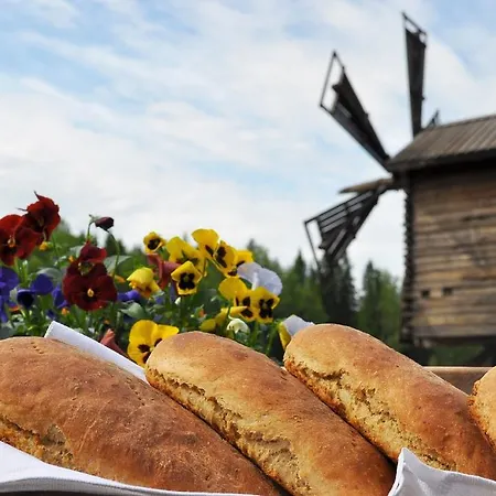 Holiday home Hevossilta *