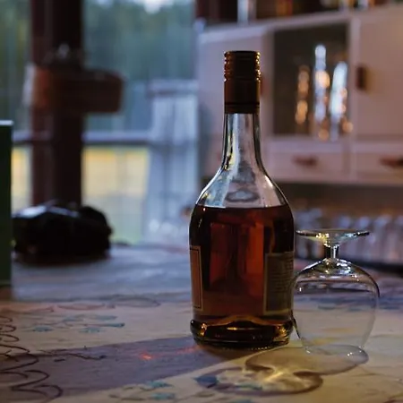 Holiday home Hevossilta *